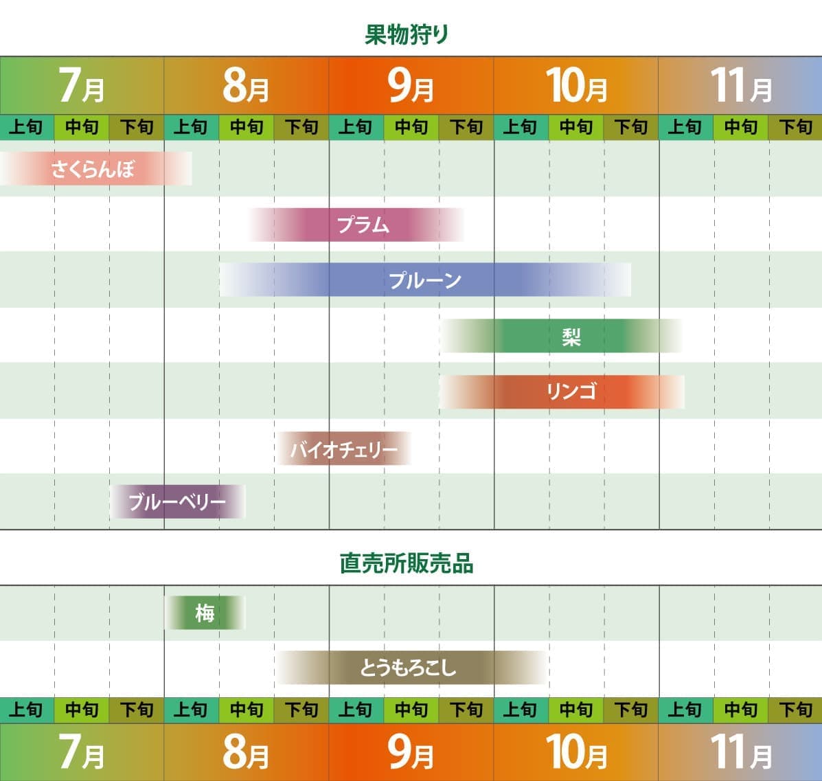 フルーツ狩り
